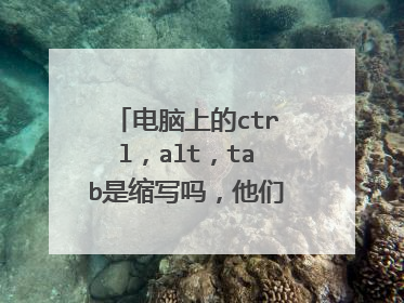 电脑上的ctrl，alt，tab是缩写吗，他们的全称是？