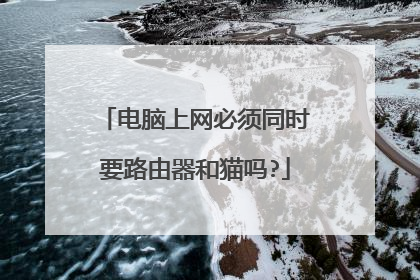 电脑上网必须同时要路由器和猫吗?