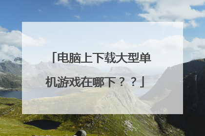 电脑上下载大型单机游戏在哪下？？