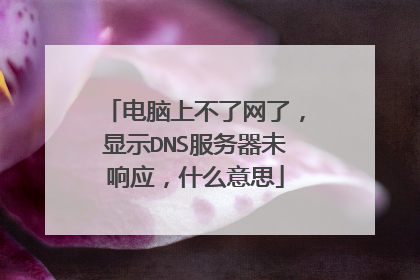 电脑上不了网了，显示DNS服务器未响应，什么意思
