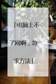 电脑上不了网啊,急求方法