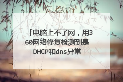 电脑上不了网，用360网络修复检测到是DHCP和dns异常，点击修复了但是没有用，怎么办
