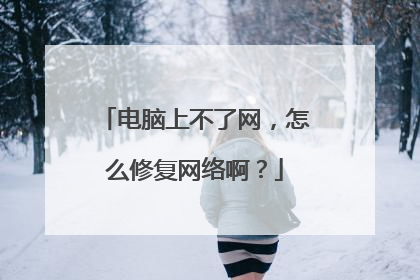 电脑上不了网,怎么修复网络啊?