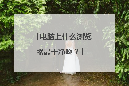 电脑上什么浏览器最干净啊?