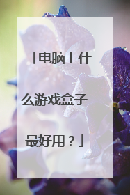电脑上什么游戏盒子最好用?