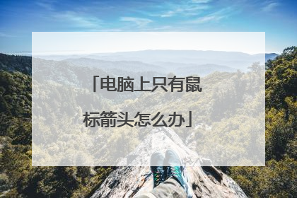 电脑上只有鼠标箭头怎么办