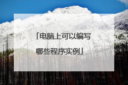 电脑上可以编写哪些程序实例