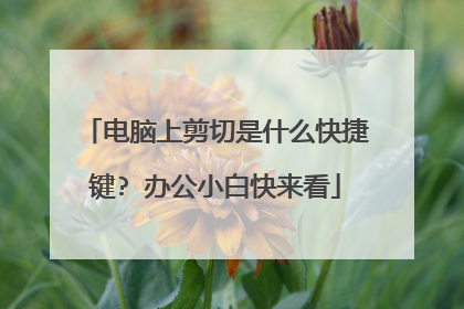 电脑上剪切是什么快捷键? 办公小白快来看