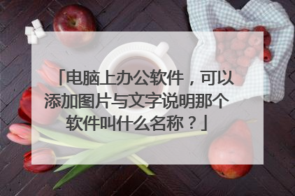 电脑上办公软件,可以添加图片与文字说明那个软件叫什么名称?