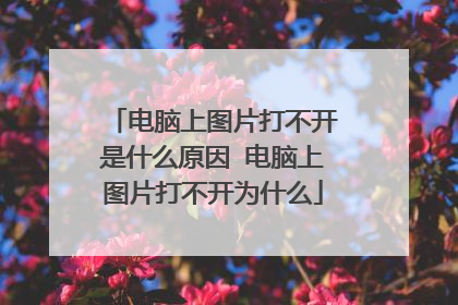 电脑上图片打不开是什么原因 电脑上图片打不开为什么