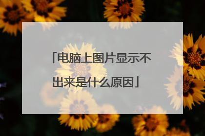 电脑上图片显示不出来是什么原因
