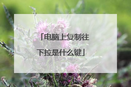 电脑上复制往下拉是什么键
