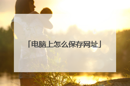 电脑上怎么保存网址