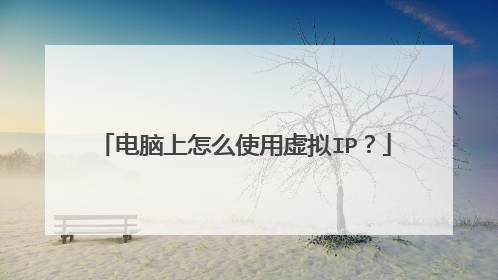 电脑上怎么使用虚拟IP?