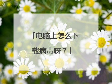 电脑上怎么下载病毒呀？