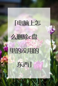 电脑上怎么删除c盘里的没用的东西