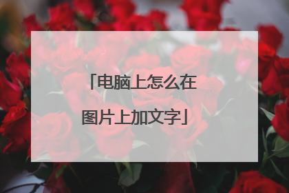 电脑上怎么在图片上加文字