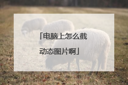 电脑上怎么截动态图片啊