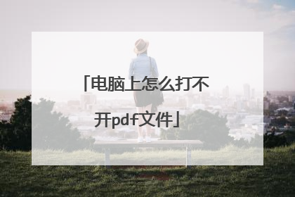 电脑上怎么打不开pdf文件