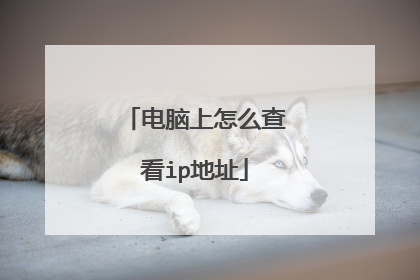 电脑上怎么查看ip地址