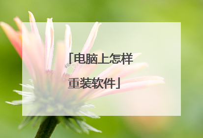 电脑上怎样重装软件