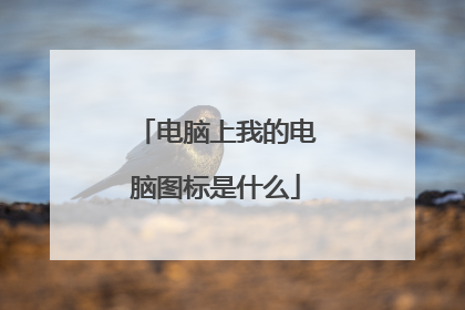 电脑上我的电脑图标是什么