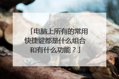 电脑上所有的常用快捷键都是什么组合和有什么功能？