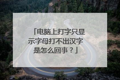 电脑上打字只显示字母打不出汉字是怎么回事？