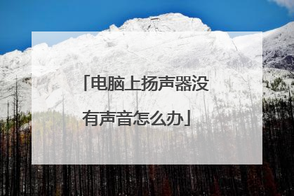 电脑上扬声器没有声音怎么办