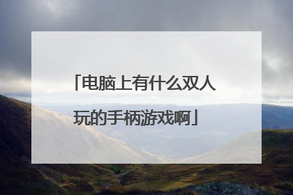 电脑上有什么双人玩的手柄游戏啊