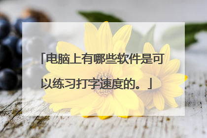电脑上有哪些软件是可以练习打字速度的。