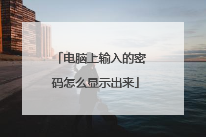 电脑上输入的密码怎么显示出来