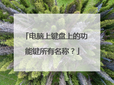 电脑上键盘上的功能键所有名称？