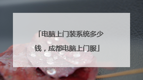 电脑上门装系统多少钱,成都电脑上门服