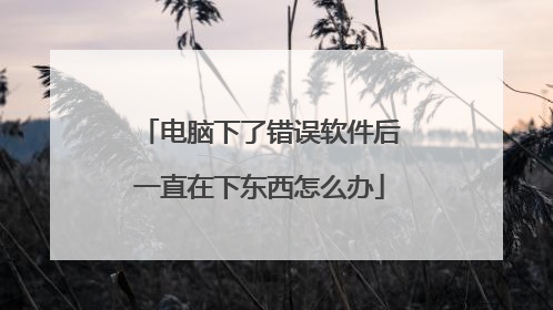 电脑下了错误软件后一直在下东西怎么办