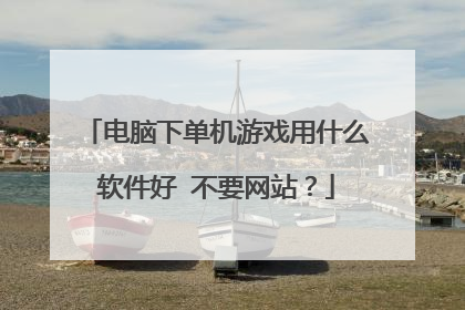 电脑下单机游戏用什么软件好 不要网站?