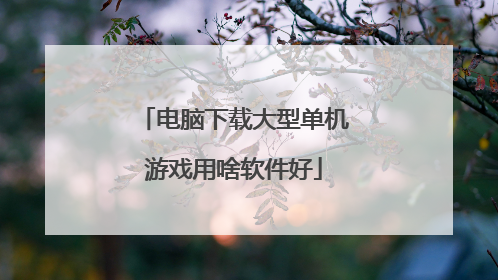 电脑下载大型单机游戏用啥软件好