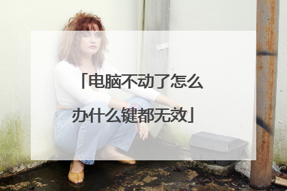 电脑不动了怎么办什么键都无效