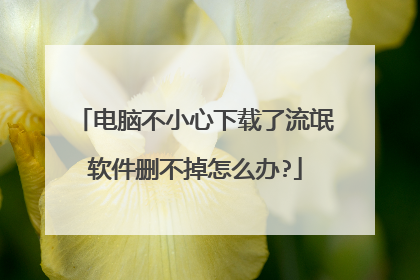 电脑不小心下载了流氓软件删不掉怎么办?