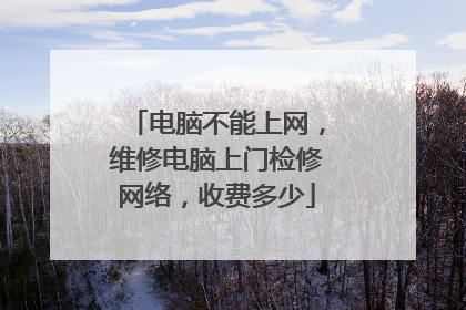 电脑不能上网,维修电脑上门检修网络,收费多少