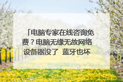 电脑专家在线咨询免费?电脑无缘无故网络设备器没了 蓝牙也坏了说的是设备里没有蓝牙了 以前都可以