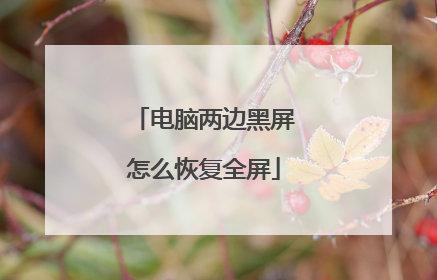 电脑两边黑屏怎么恢复全屏