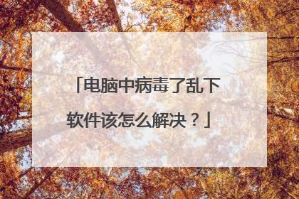 电脑中病毒了乱下软件该怎么解决？