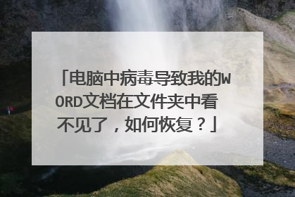 电脑中病毒导致我的WORD文档在文件夹中看不见了,如何恢复?