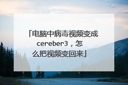 电脑中病毒视频变成cereber3，怎么把视频变回来