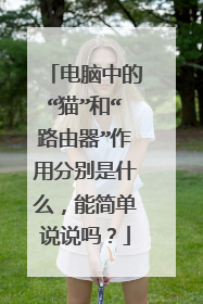 电脑中的“猫”和“路由器”作用分别是什么,能简单说说吗?