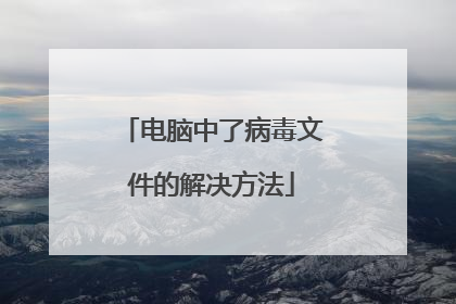 电脑中了病毒文件的解决方法