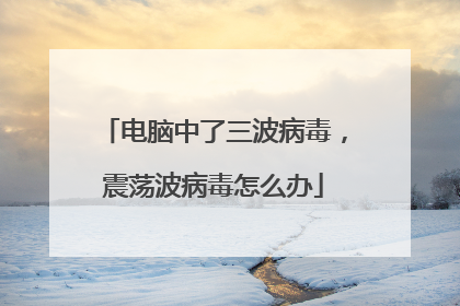 电脑中了三波病毒，震荡波病毒怎么办