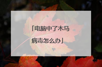 电脑中了木马病毒怎么办