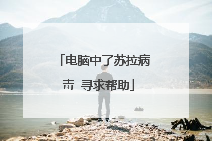电脑中了苏拉病毒 寻求帮助